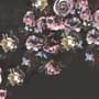 Dark Rose Floral Bouqet Wallpaper Mural