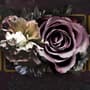 Dark Rose Floral Wallpaper Mural
