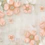 Pink Diamond Daisy with Butterflies Wallpaper Mural