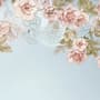 Soft Pink Vine Floral Wallpaper Mural