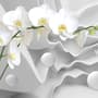 Papier peint floral d'orchidées blanches avec rayures abstraites