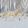 Abstract Horse and Forest Wallpaper Mural