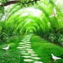 3D Look Forest Way Landscape Wallpaper Mural