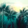 Tropical Palm Forest Wallpaper Mural