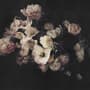 Dutch Dark Floral Wallpaper Mural