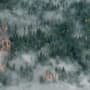 Misty Forest Wallpaper Mural