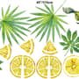 Yellow Lemon with Lily Florals Wall Decal Sticker