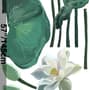 Watercolor White Lotus Floral and Leaves Wall Decal Sticker
