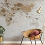 Brown Political Map Wallpaper Mural
