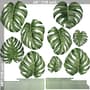 Watercolor Leafs Wall Decal Sticker