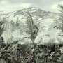 Vintage Tropical Forest Wallpaper Mural