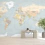 Navy Blue Political World Map Wallpaper Mural