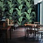 Exotic Banana Leaf Wallpaper Mural