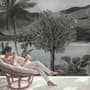 Dreamy Tropical Dark Forest Scene Wallpaper Mural