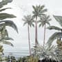 Exotic Forest on Seaside Wallpaper Mural