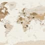 Brown Political Map Wallpaper Mural