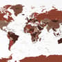 White and Brown Political World Map Wallpaper Mural