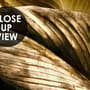 Elegant Golden Dead Leaf Wallpaper Mural