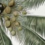 Tropical Nature Landscape with Birds Wallpaper Mural