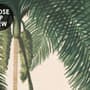 Tropical Nature Landscape with Birds Wallpaper Mural