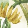 Watercolor Safari Animals in the Rainforest Wallpaper Mural for Kids