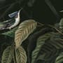Dark Botanical Plants with Animals Wallpaper Mural