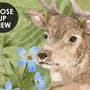 Kids Watercolor Coniferous Forest with Animals Wallpaper Mural