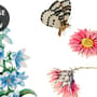 Papier peint fleurs botaniques oiseaux