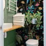 Vintage Big Tree Forest Wallpaper Mural