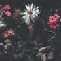 Dark Floral Garden Wallpaper Mural