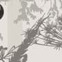Monochrome Tree Forest Silhouette Wallpaper Mural