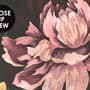 Niederländische Blumen Pfingstrose mit Tulpen Dunkle Blumen Fototapete