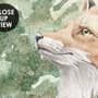 Kids Forest Animals in the Jungle Wallpaper Mural