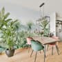 Tropical Forest Landscape and Banana Trees Wallpaper Mural