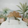 Tropical Forest Landscape and Banana Trees Wallpaper Mural