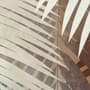 Neutral Tropical Palm Leaf Wallpaper Mural