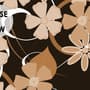 Abstract Silhouette Women Wallpaper