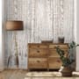 Birch Tree Forest in Winter Wallpaper Mural