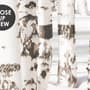 Birch Tree Forest in Winter Wallpaper Mural