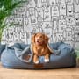 Cute Dog Face Pattern for Kids Wallpaper Mural