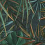 Dark Tropical Exotic Palm Leaf Wallpaper Mural
