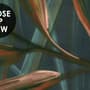Dark Tropical Exotic Palm Leaf Wallpaper Mural