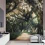 Tree Roots Wallpaper Mural