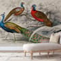 Historische Vintage-Pfau-Fototapete
