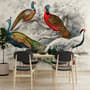 Historische Vintage-Pfau-Fototapete