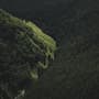 Papier peint panoramique vue aérienne de forêt naturelle sur les montagnes