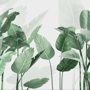 Fresh Green Tropical Leaf Wallpaper Mural