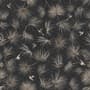 Tropical Palm Leaf and Birds Wallpaper Mural
