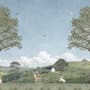 Kids Forest Animals Landscape Wallpaper Mural