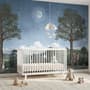 Kids Forest Animals Landscape Wallpaper Mural